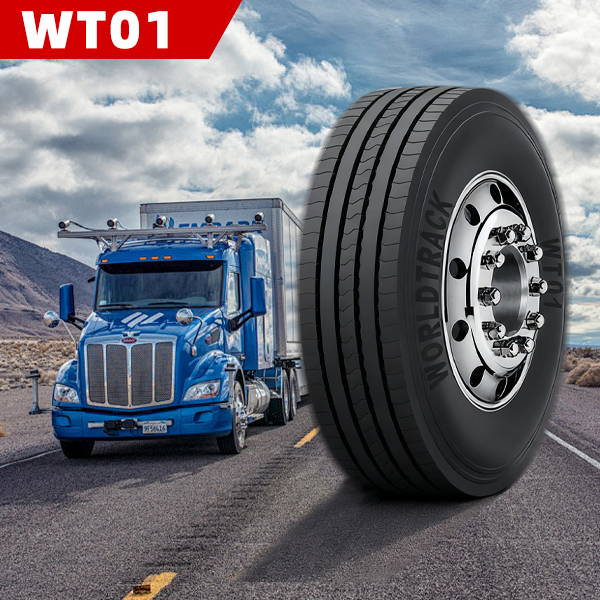 WT01